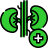 Urology